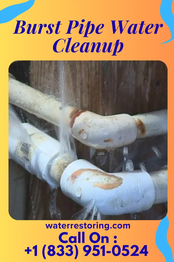 Burst Pipe Water Cleanup in Terre Hill, PA
